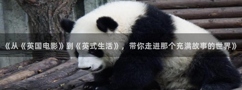 久久视频这里是精品