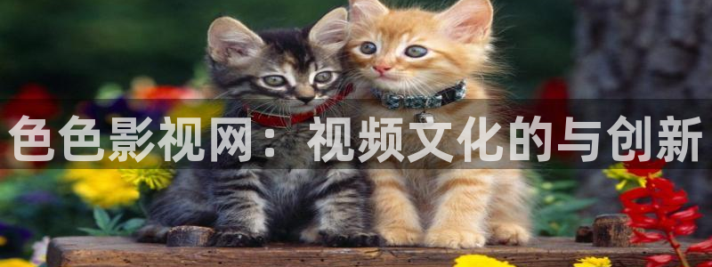 久久视频2