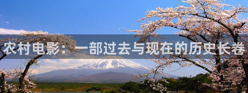 国产精品久久久久电影