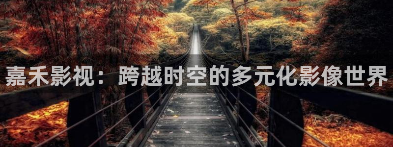 久久久视频