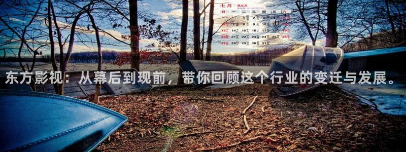 久久视频精品网