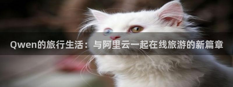 久久视频5