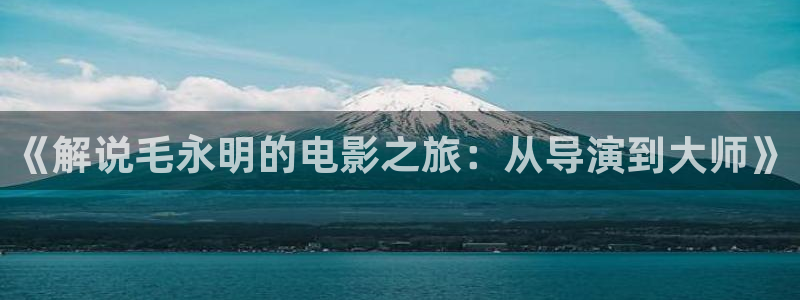 国内精品久久久久久不卡影院：《解说毛永明的电影之旅：从导演到大师》