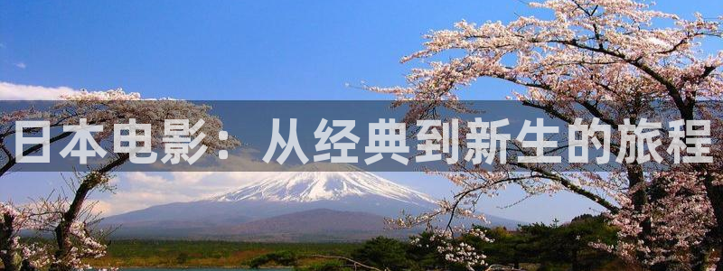 久久久免费精品电影：日本电影：从经典到新生的旅程