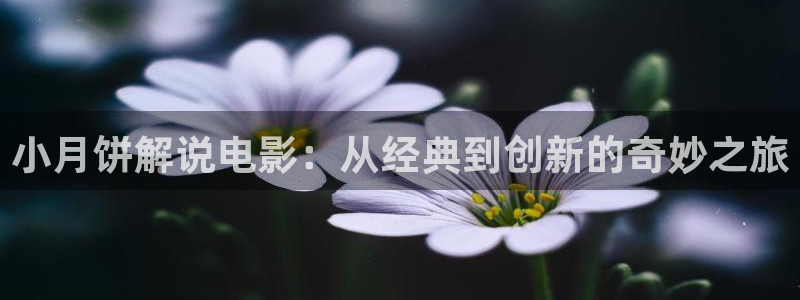 久久视频一区二区三区：小月饼解说电影：从经典到创新的奇妙之旅