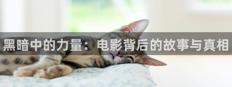 国外久久视频：黑暗中的力量：电影背后的故事与真相