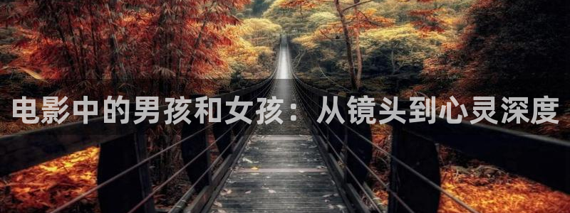 国产精品久久久久久久久电影：电影中的男孩和女孩：从镜头到心灵深度