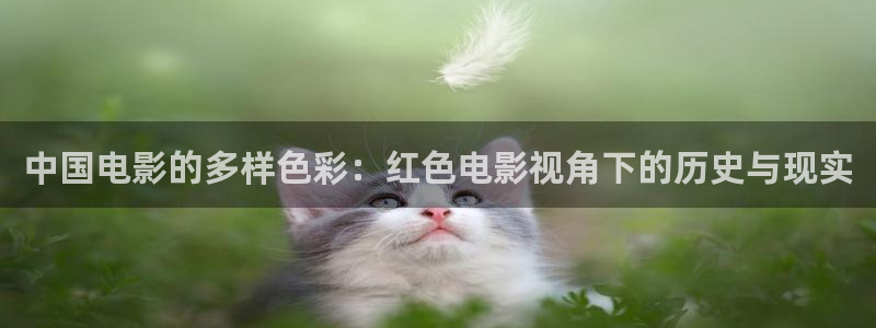 久久久在线观看免费播放电视剧高清