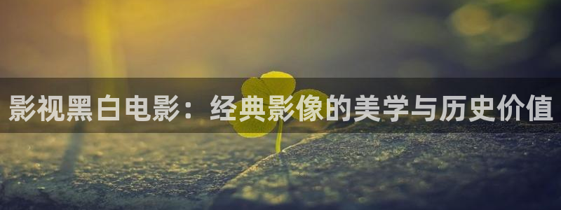 久久视频10