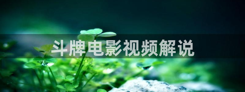 久久久久久免费视频观看