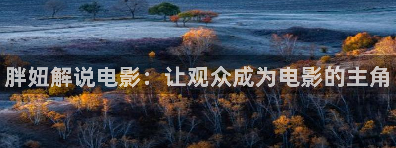 久久久久久久久久影院：胖妞解说电影：让观众成为电影的主角