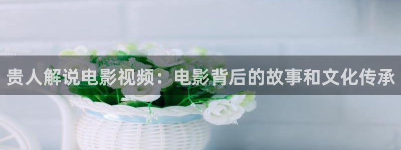 18久久视频：贵人解说电影视频：电影背后的故事和文化传承