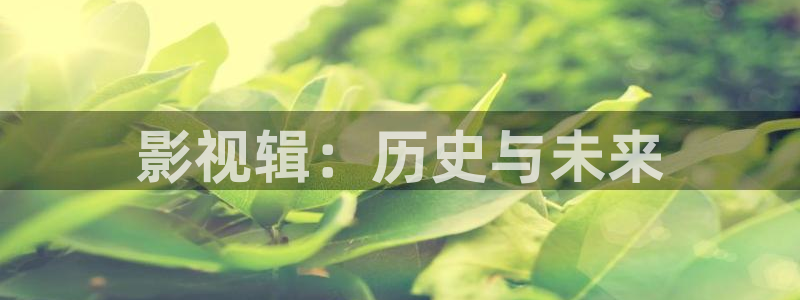 国内久久久久影院：影视辑：历史与未来