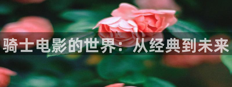 久久久1区影院：骑士电影的世界：从经典到未来