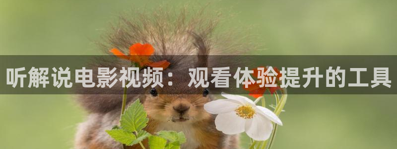 神马影院久久久：听解说电影视频：观看体验提升的工具