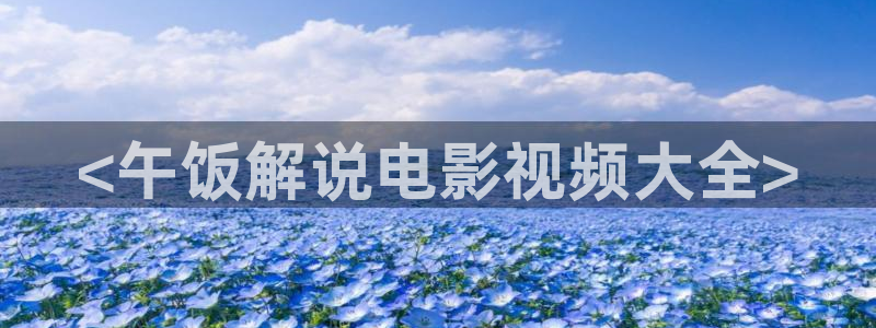久久久久久观看视频：<午饭解说电影视频大全>
