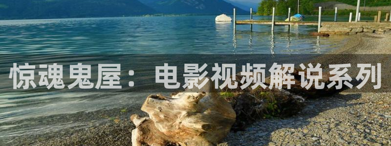 北条麻妃久久视频：惊魂鬼屋：电影视频解说系列
