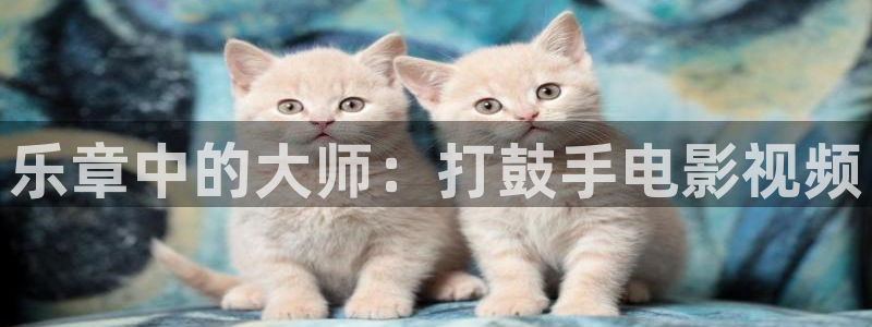久久久久久久免费精品视频：乐章中的大师：打鼓手电影视频