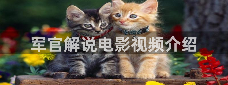 在线观看久久视频：军官解说电影视频介绍