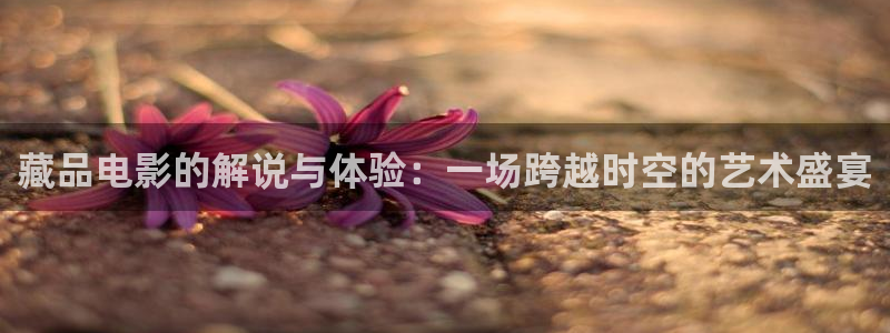 精品一区二区久久久久黄大片：藏品电影的解说与体验：一场跨越时空的艺术盛宴