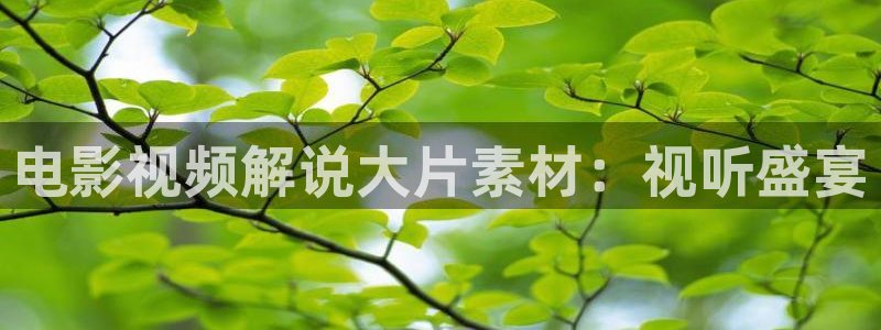 艹久久视频：电影视频解说大片素材：视听盛宴
