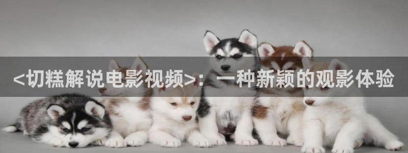 2019最新久久久视频精品：<切糕解说电影视频>：一种新颖的观影体验