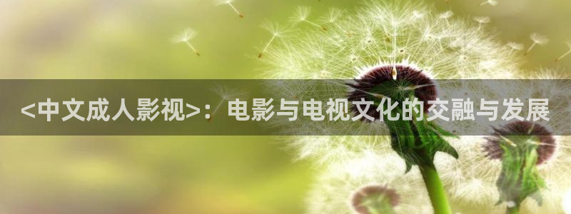 久久久在线影院免费观看电视剧大全：<中文成人影视>：电影与电视文化的交融与发展