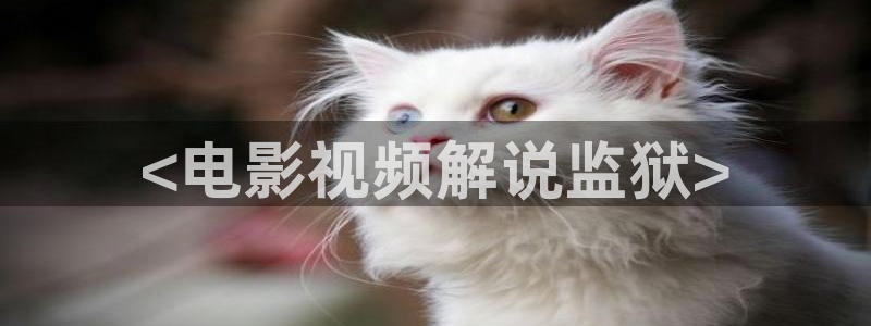 亚洲欧美久久久影院：<电影视频解说监狱>