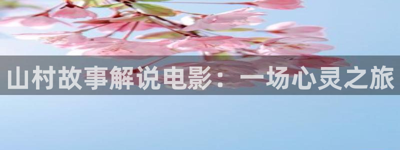 91精品国产综合久久久动漫日韩：山村故事解说电影：一场心灵之旅