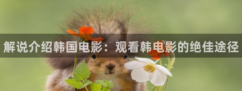 国产艳遇久久久久久久精品电影：解说介绍韩国电影：观看韩电影的绝佳途径