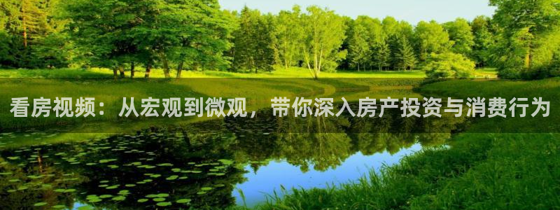 91久久视频在线观看：看房视频：从宏观到微观，带你深入房产投资与消费行为