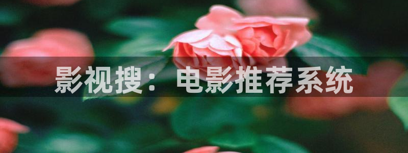 欧美久久久影院：影视搜：电影推荐系统
