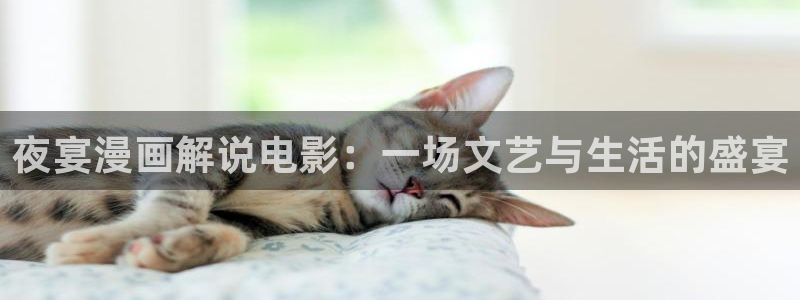 2019最新久久久视频精品：夜宴漫画解说电影：一场文艺与生活的盛宴