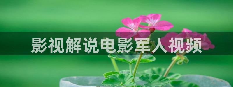 久久视频这里只是精品