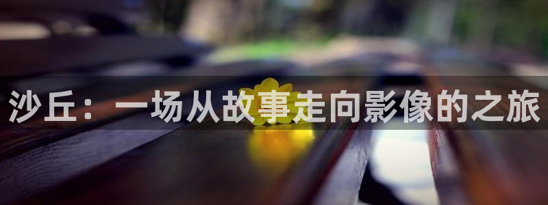 91国内精品久久久久影院：沙丘：一场从故事走向影像的之旅