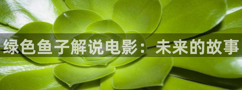 久久久影片：绿色鱼子解说电影：未来的故事