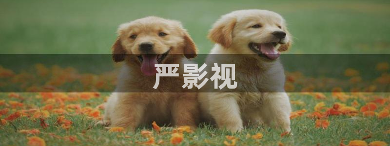 97久久视频观看：严影视