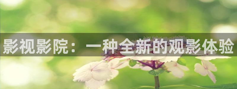 久久久久久久免费观看视频：影视影院：一种全新的观影体验