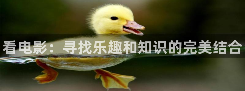 国产精品久久久久影院