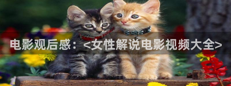 性久久久久久久久毛片蜜桃：电影观后感：<女性解说电影视频大全>