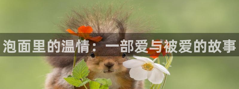 日韩精品久久久久影院：泡面里的温情：一部爱与被爱的故事