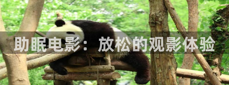 久久视频123：助眠电影：放松的观影体验