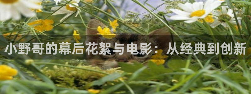 久久久影院在线观看：小野哥的幕后花絮与电影：从经典到创新