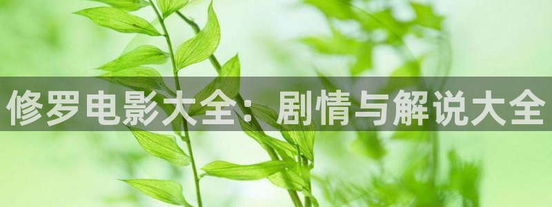 久久久久久久视频：修罗电影大全：剧情与解说大全