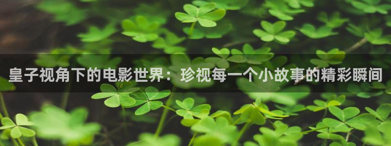 新久久视频：皇子视角下的电影世界：珍视每一个小故事的精彩瞬间