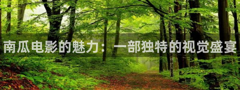 努努影院午夜久久久