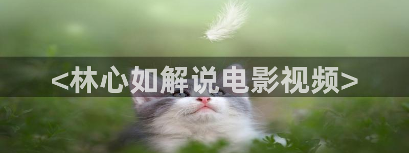 视频久久久久久