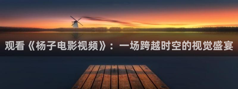 国内精品久久久久久影视8