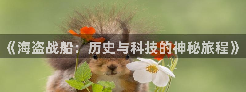 久久久久久a级视频
