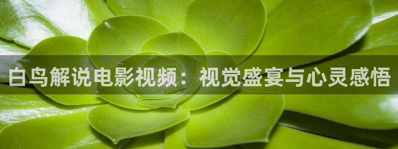 午夜精品久久久av